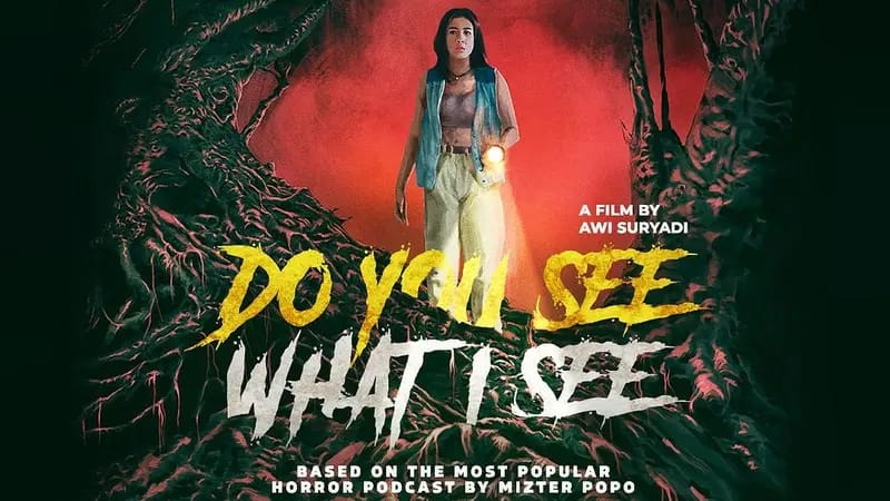 Film "Do You See What I See".