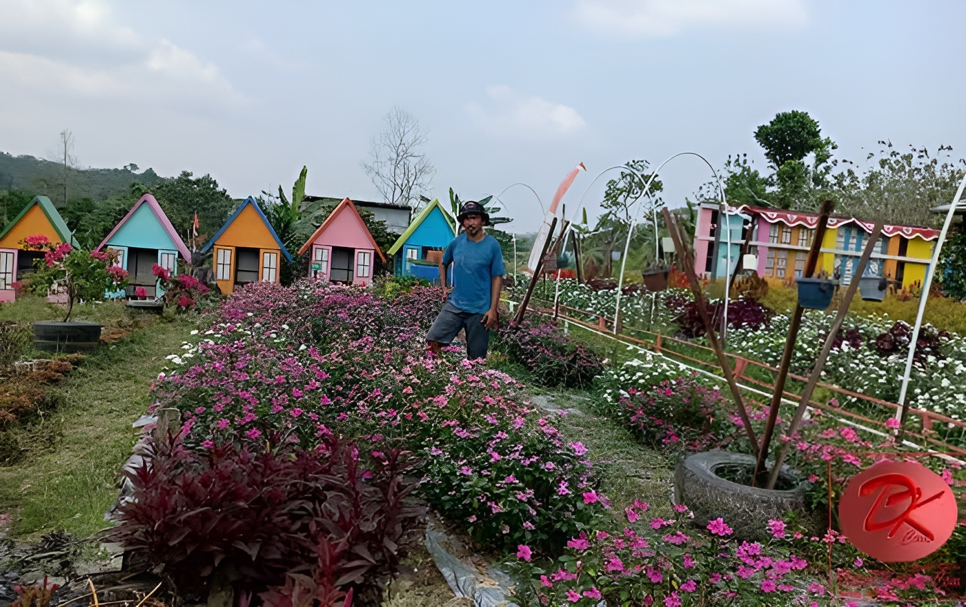 Foto: Salah satu pengunjung saat lakukan swafoto di Agrowisata Swargo Tani milik desa Tani Bhakti Kecamatan Loa Janan. (Istimewa)