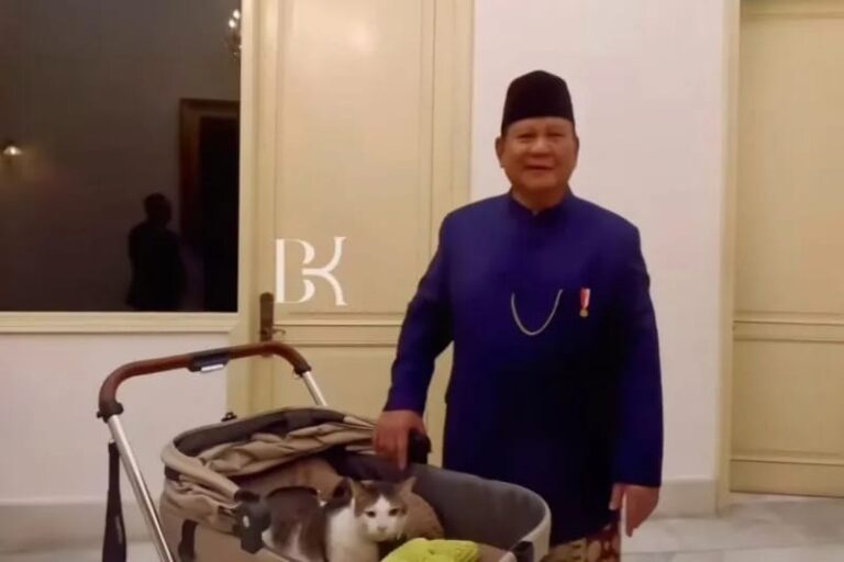 Foto: Bobby Kertanegara, kucing kesayangan Presiden Prabowo Subianto.