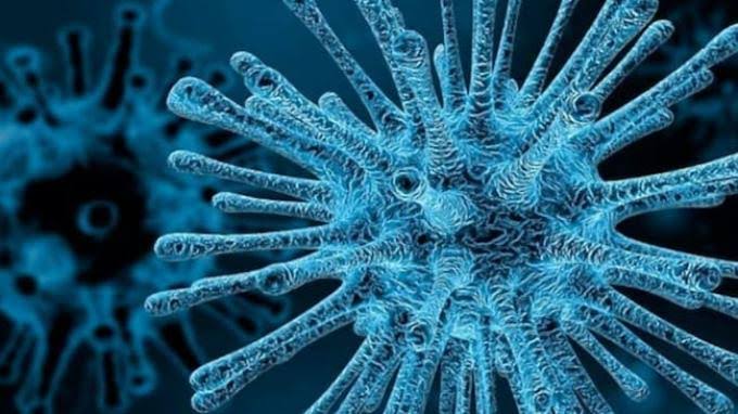 Ilustrasi: Virus hmpv.