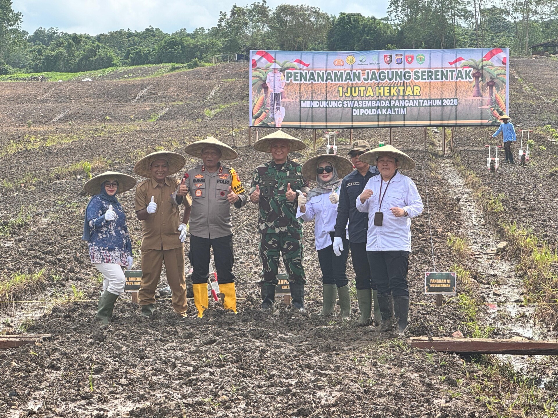 Foto: Program Penanaman Jagung seluas 1 juta hektar secara serentak.