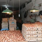 Harga Telur dan Beras di Kukar Merangkak Naik, Pedagang Sebut Daya Beli Mulai Menurun