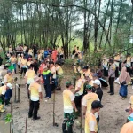 Otorita IKN Tanam 500 Mangrove di Pantai Tanah Merah, Perkuat Benteng Pesisir dari Ancaman Abrasi
