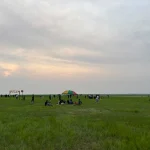 Hamparan Hijau Danau Semayang Jadi Magnet Wisatawan Saat Musim Kemarau