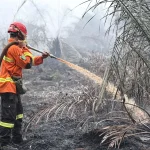 Kebakaran Lahan Gambut di Muara Leka Belum Padam, BPBD Sebut Api Masih Menjalar di Bawah Tanah