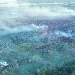 Karhutla di Pendingin Capai 311 Hektare, Tim Gabungan Masih Berjibaku Padamkan Titik Api