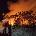 Hutan dan Lahan di Kalimantan Terbakar, Asap dan Titik Panas Kian Meningkat