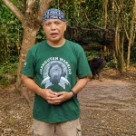 Asap Karhutla Mulai Selimuti Pusat Rehabilitasi Orangutan BOSF di Nyaru Menteng